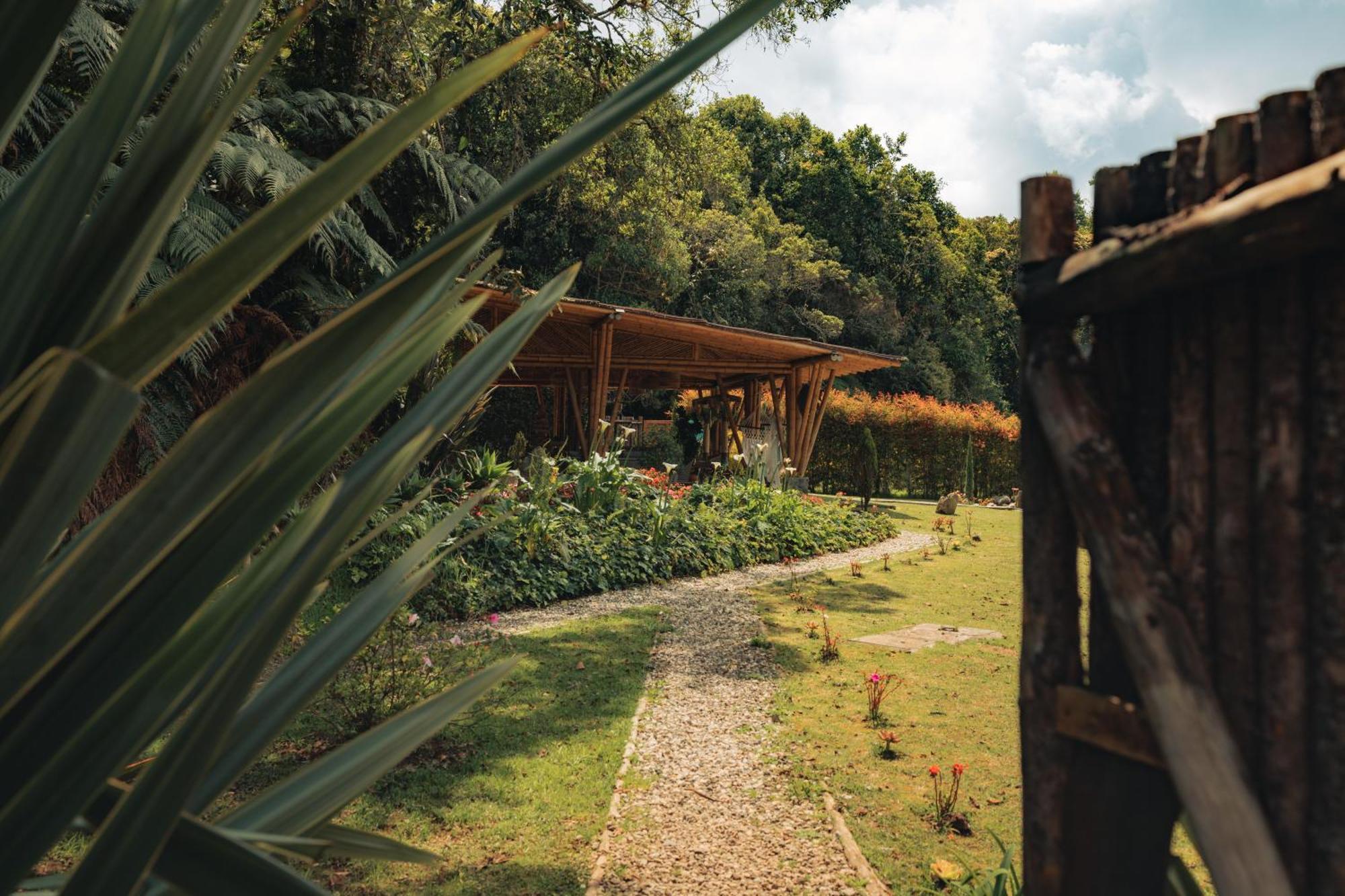 Bubblesky Glamping 15 Min From Medellin Hotel ริโอเนโกร ภายนอก รูปภาพ