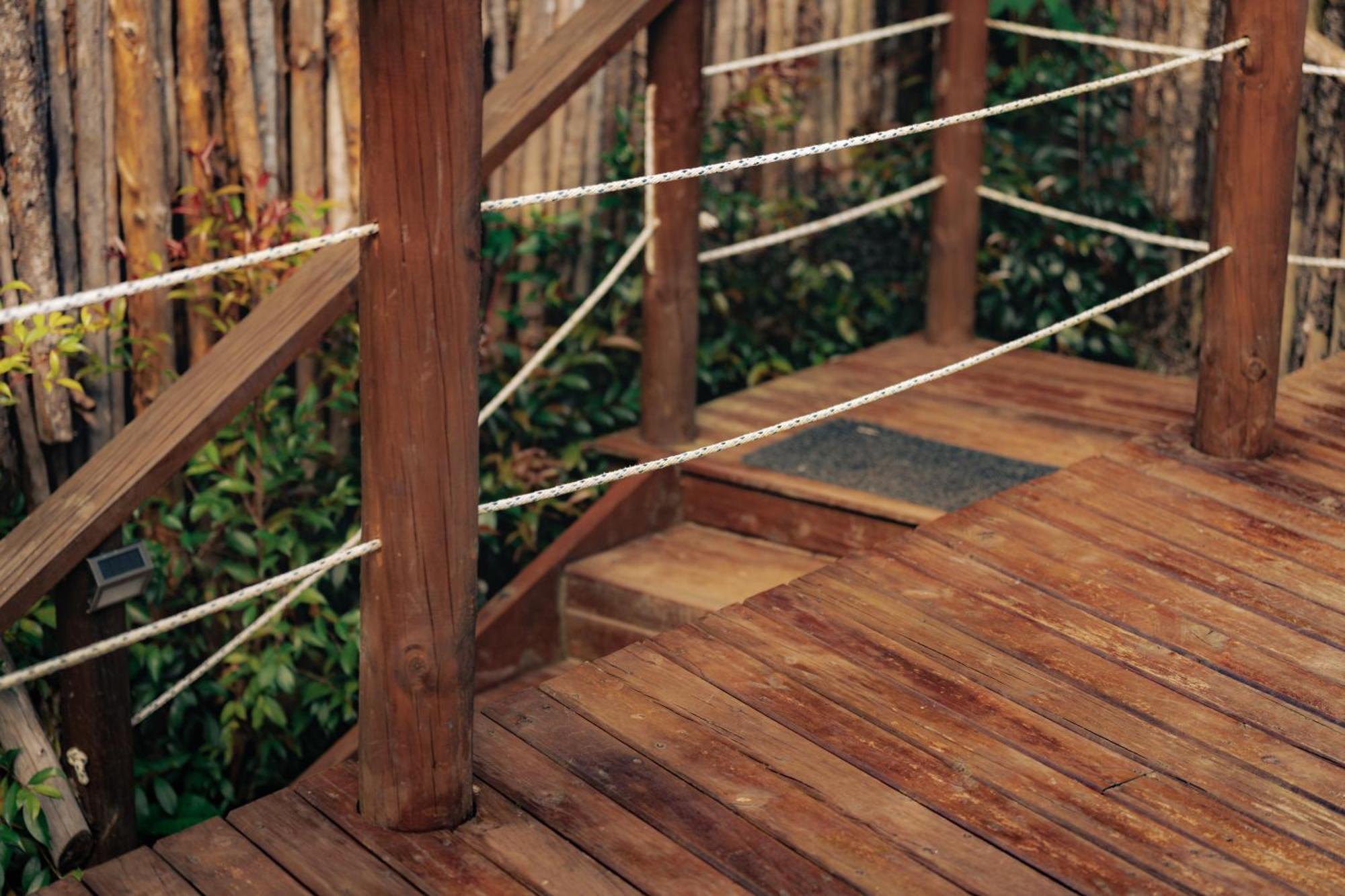 Bubblesky Glamping 15 Min From Medellin Hotel ริโอเนโกร ภายนอก รูปภาพ