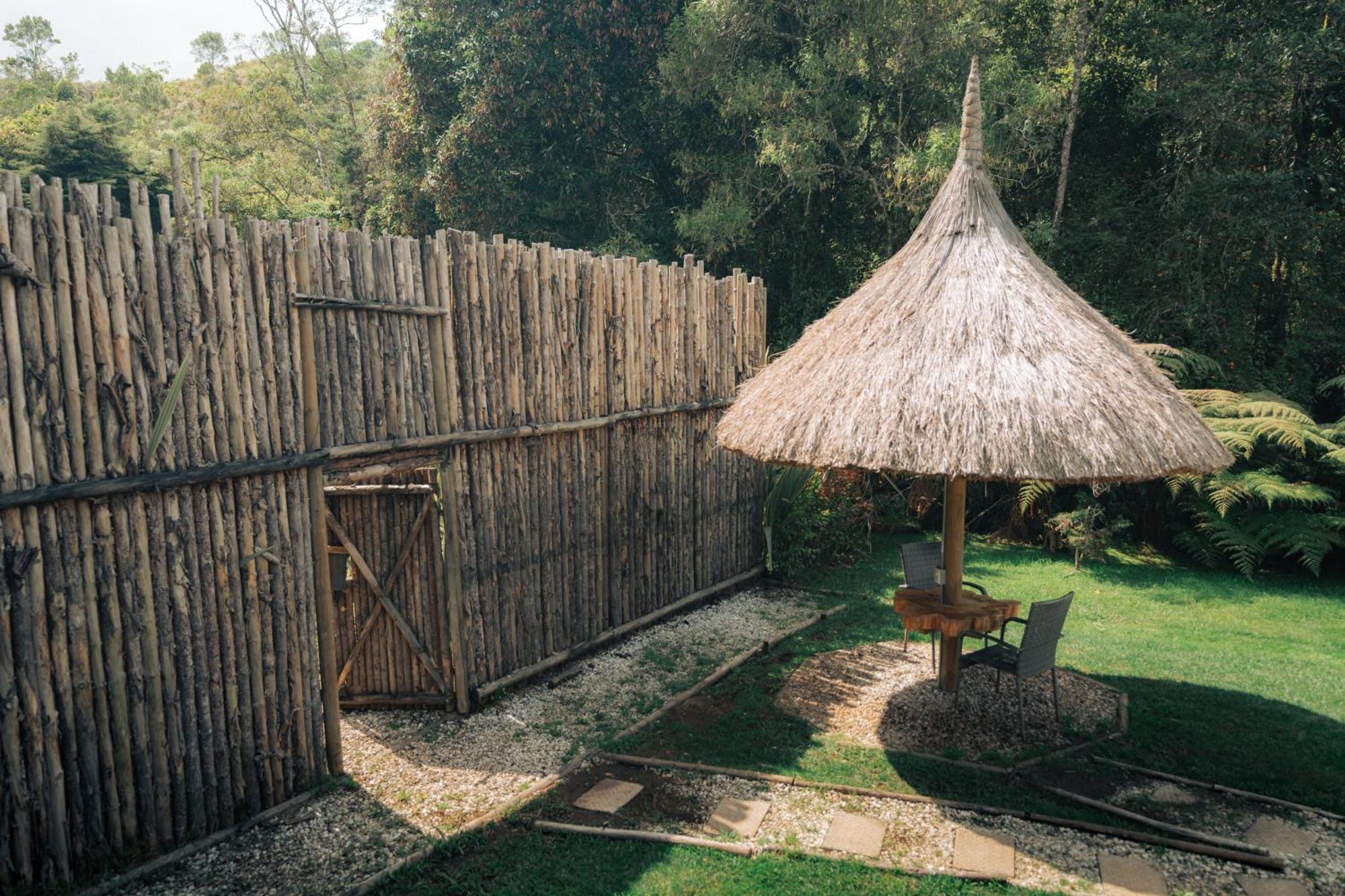 Bubblesky Glamping 15 Min From Medellin Hotel ริโอเนโกร ภายนอก รูปภาพ