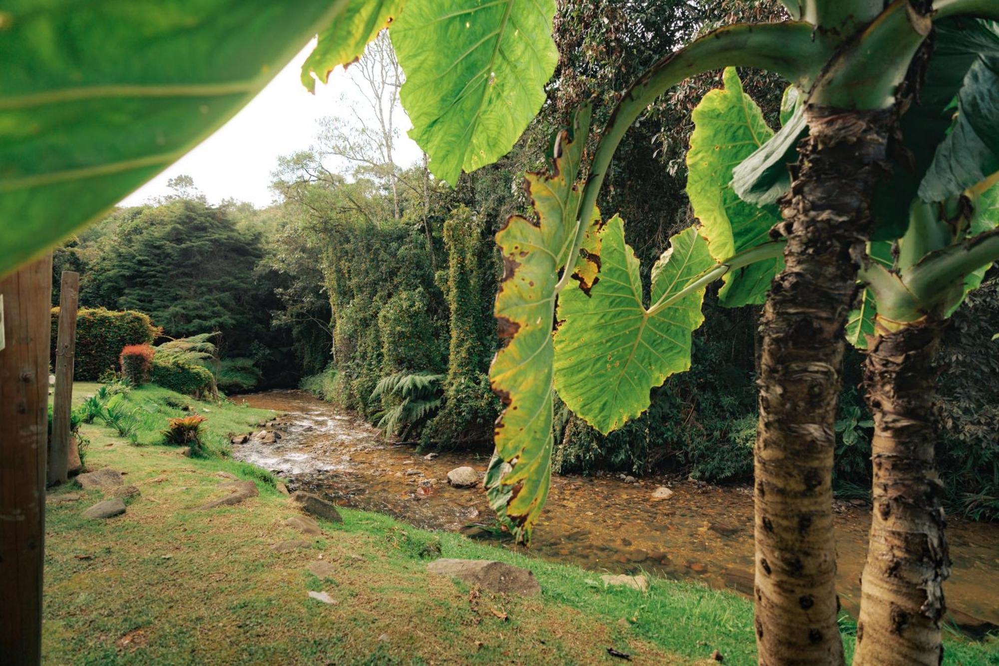 Bubblesky Glamping 15 Min From Medellin Hotel ริโอเนโกร ภายนอก รูปภาพ