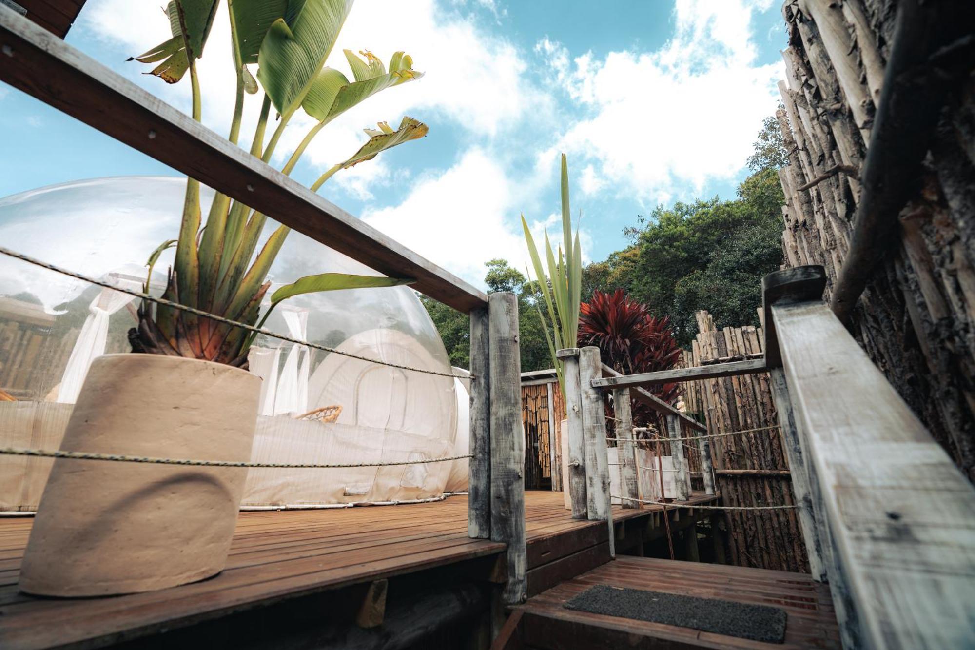 Bubblesky Glamping 15 Min From Medellin Hotel ริโอเนโกร ภายนอก รูปภาพ