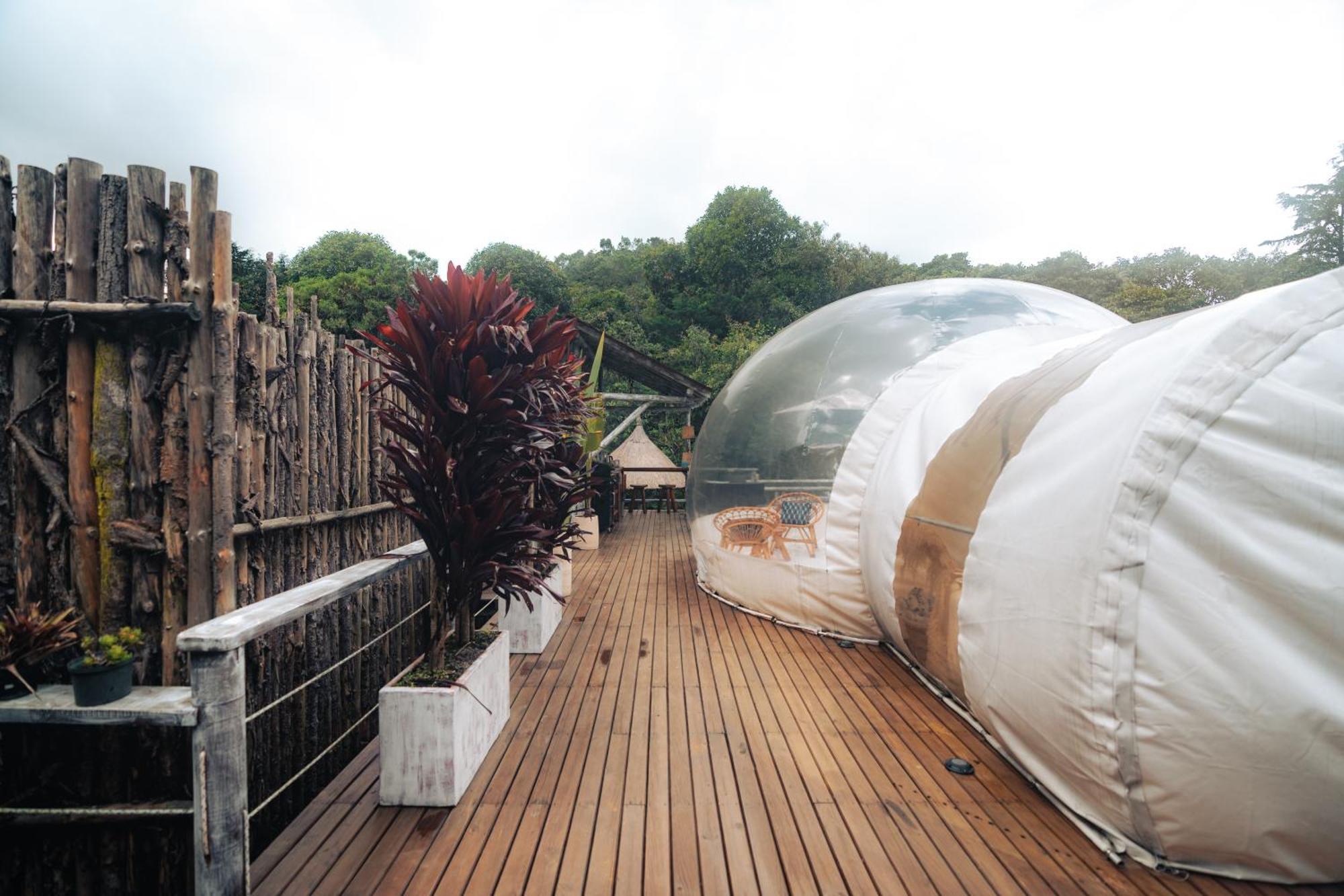 Bubblesky Glamping 15 Min From Medellin Hotel ริโอเนโกร ภายนอก รูปภาพ
